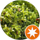 Profilbild von „Erta A.“